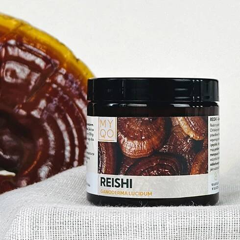 Reishi - Ganoderma lucidum - 90 kapslí 30%