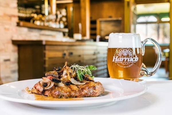 Steak z restaurace Jelínkova vila s pivem Harrach z místního minipivovaru