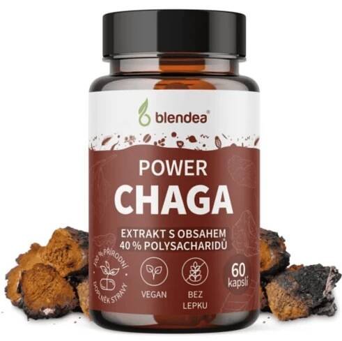 Chaga extrakt 60 kapslí