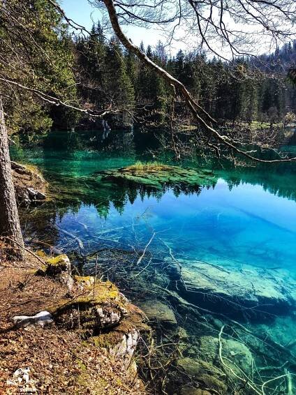 Lago di Fusine | Barbora Zaoralová