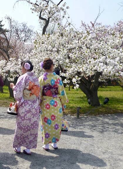 Japan Gardens Study Tour Spring 2018 - The Gardens Trust