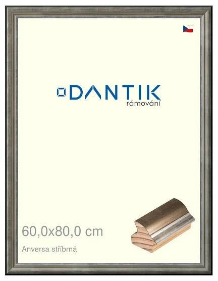 DANTIK rámeček na obraz 40x50 | INCLINATA colori šedá (Sklo Čiré)