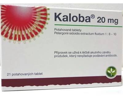 KALOBA 20 MG POTAHOVANÉ TABLETY POR TBL FLM 21