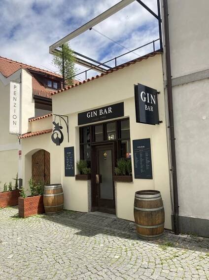 Gin Bar & Grill foto 5