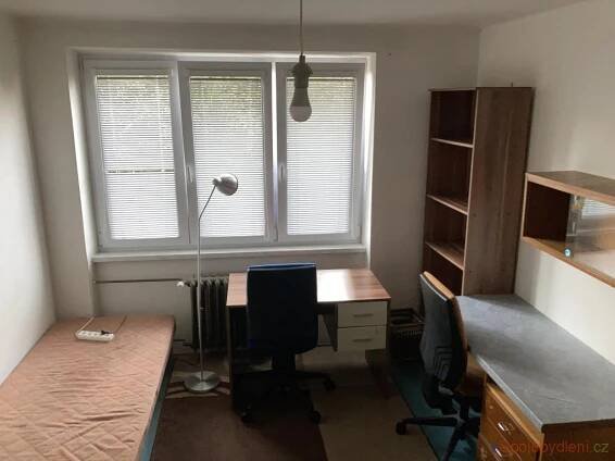 Nabízím Spolubydlení Hradec Králové
