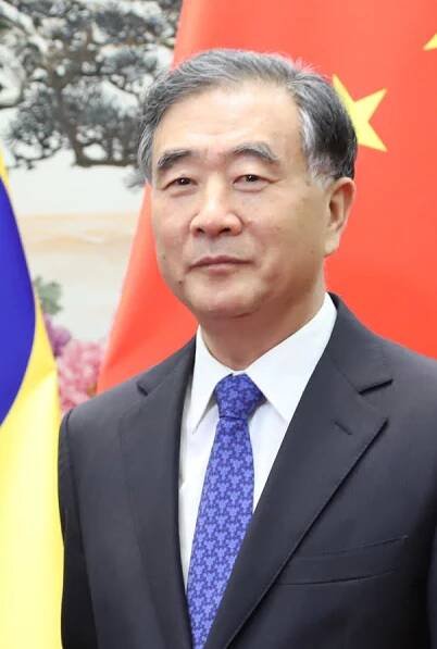 Wang Jang (politik)
