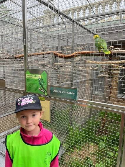 Motýlci – Papouščí ZOO Bošovice 2025 | ZŠ a MŠ Němčany
