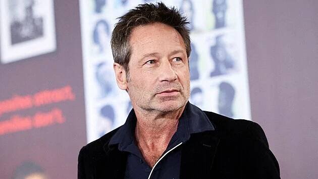 David Duchovny se podruhé oženil s herečkou - iDNES.cz