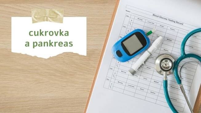 Trápí mě: Cukrovka a pankreas - Dr.Vitamin