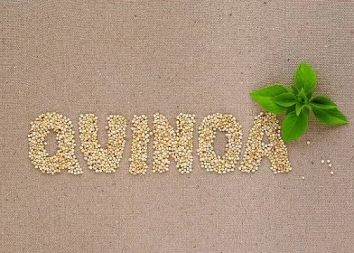 Quinoa - co to je? Jaké vlastnosti má quinoa a proč by se měla jíst? 1