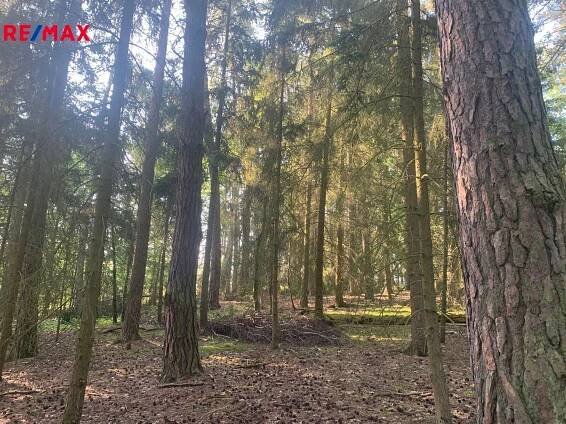 Prodej Pozemek, Pavlíkov, okres Rakovník
