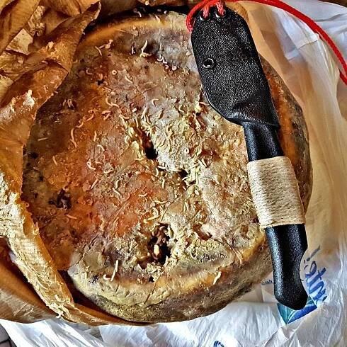 Sardinian casu marzu teeming with live maggots.