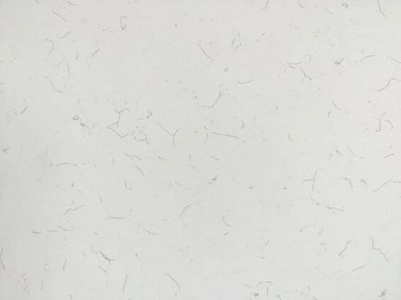 Carrara Bianco close-up