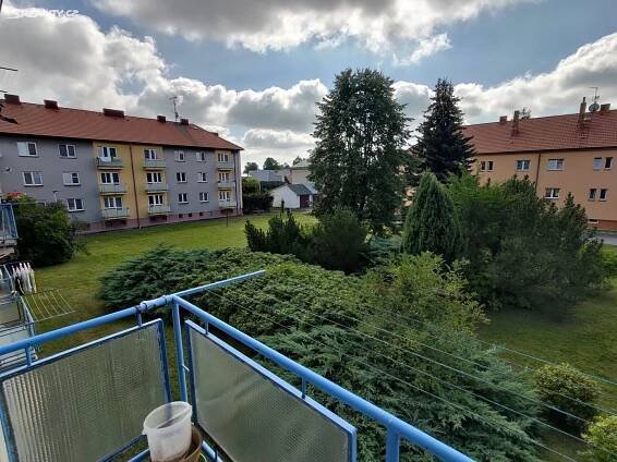 Pronájem Byt 3+kk, P. Jilemnického, Polička - Dolní Předměstí