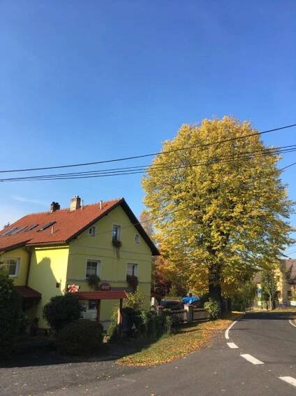 Pension U Rytíře Images