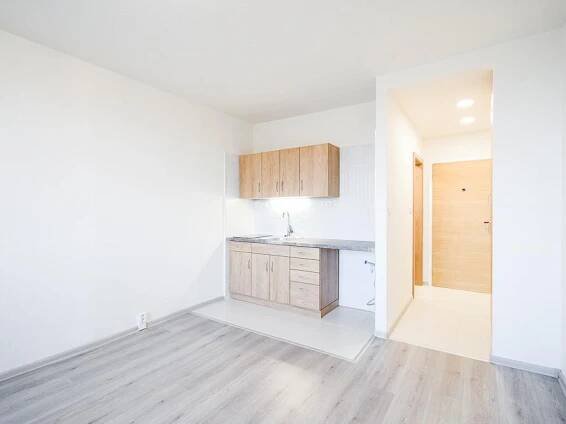 Pronájem 1+kk, Libušino údolí, Brno – bydlení s Ideálním nájemcem