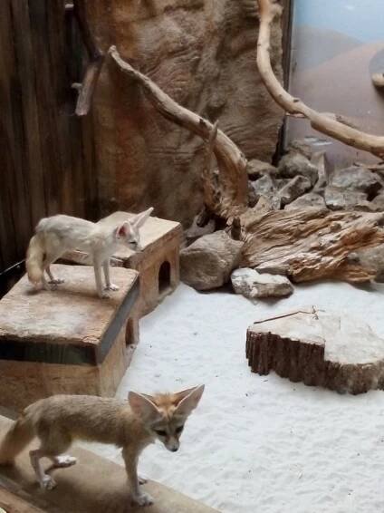 ZOO Jihlava 2020 - Oficiální stránky ZŠ a MŠ Únanov