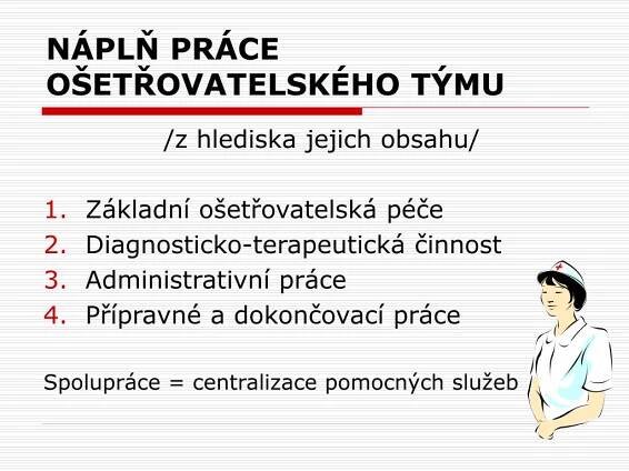PPT - ORGANIZACE PRÁCE SESTER PowerPoint Presentation, free download - ID:5668967