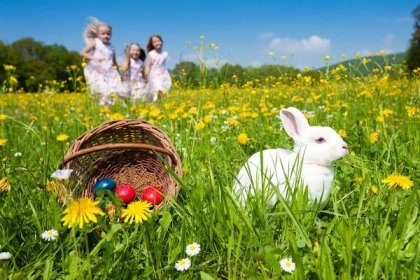 Stáhnout - Jarní louka s pampelišky přední košík s velikonoční vajíčka — Stock obrázek