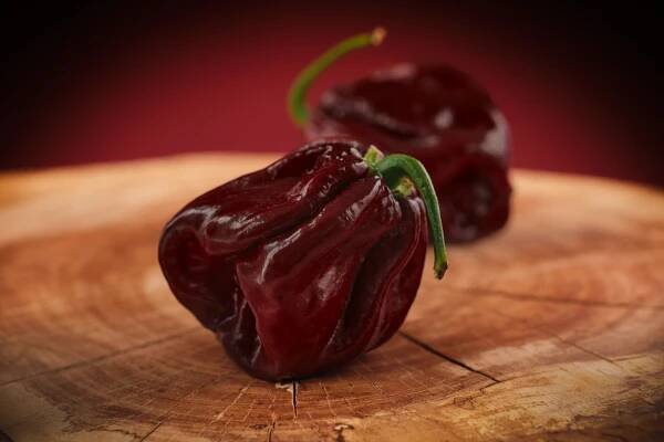 Scotch Bonnet Chocolate