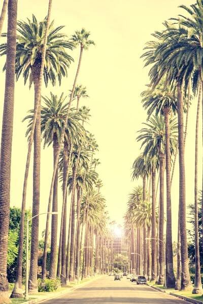 Beverly Hills at sunset — Stock Fotografie © oneinchpunch #87070900