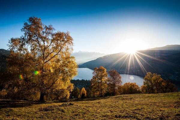 Herbst