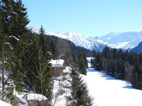 Schnee - Doppelkopf-web.de