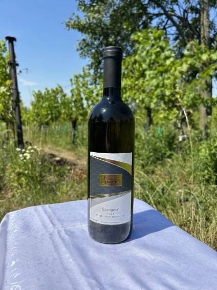 Sauvignon 2023 - polosuché