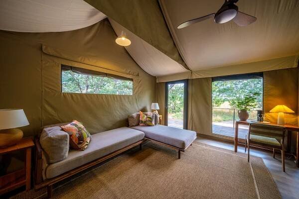 Wild Expeditions - Camp Hwange & Muddy Teak
