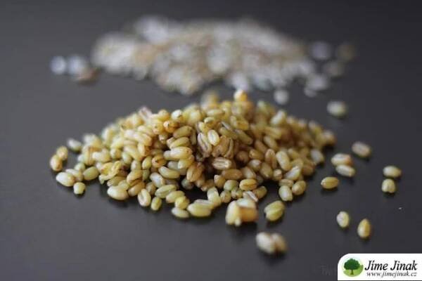 Produkty z celého zrna (těstoviny, bulgur, kuskus) | Jíme Jinak