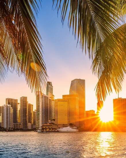 The Miami skyline behind two palm trees.