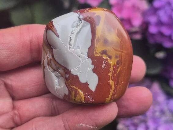 Jaspis Noreena troml přírodní kámen 94g Austrálie - naturshop.cz