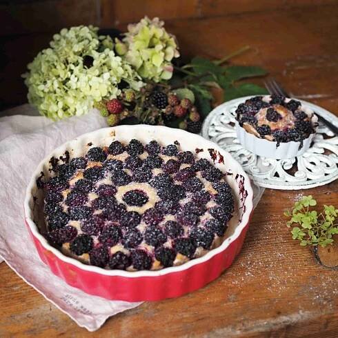 RECEPT | RICOTTOVÝ KOLÁČ S OSTRUŽINAMI | Na skok v kuchyni