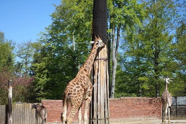 Zoo Liberec 2023 - PhoneCopy