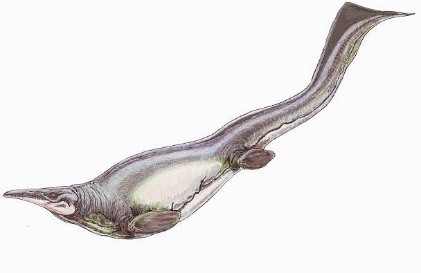 This Ancient Sea Monster Could Do the Breaststroke