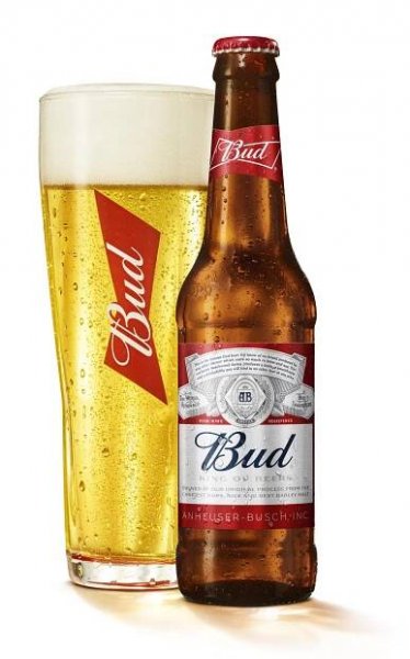 budweiser branding