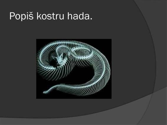 PPT - plazi PowerPoint Presentation, free download - ID:2661120