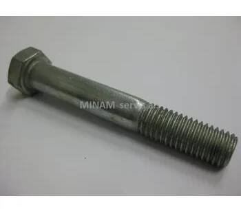 Šroub M12x70 (SL 8,8) W1-25