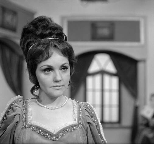 Princezna a husopaska (1970)