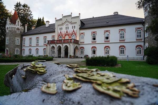 Chateau Herálec Boutique Hotel & Spa by L'Occitane, Herálec - Nejnovější ceny 2025