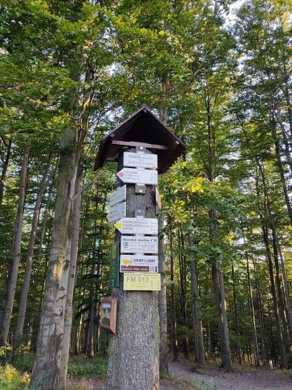 Jana F - Malá Prašivá (707 m) #6 - Vrcholovka.cz