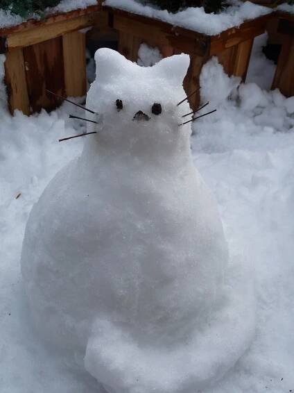 a cat made out of snow sitting in the snow