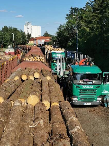 Pilařská výroba a prodej řeziva - Havlíčkův Brod | Pila Rozsochatec
