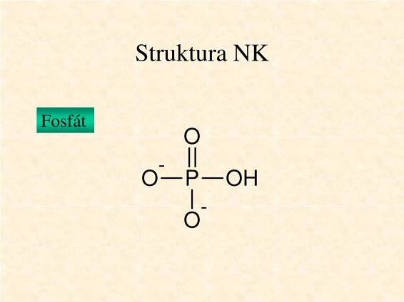 PPT - Nukleové kyseliny PowerPoint Presentation, free download - ID:1063599