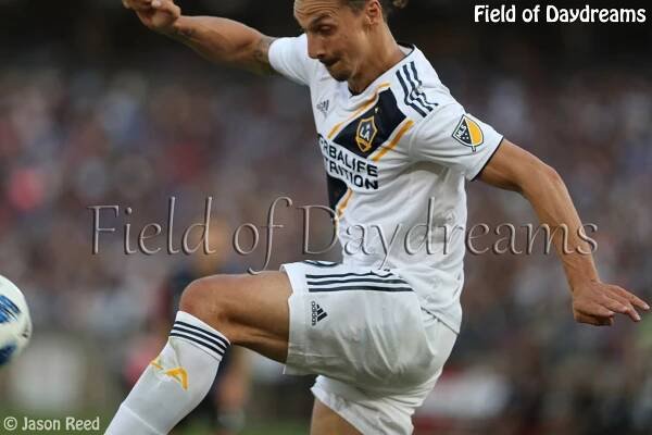 Field of Daydreams - Photo Galleries - S