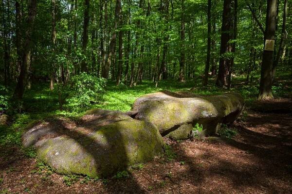 Fotogaléria • Skalní útvar Loupežnický stůl (Skalný útvar) • Mapy.com