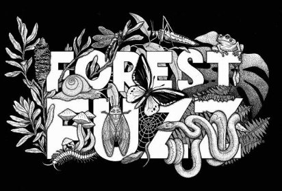 Link to Forest Fuzz project.