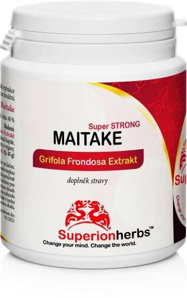 Maitake – Trsnatec lupenitý