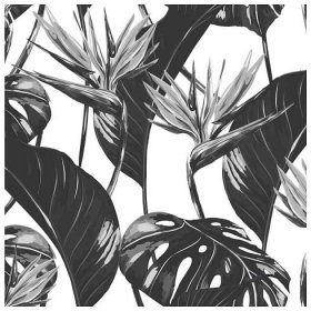 COLORAY.CZ Fototapeta Monochromatický tropický list 250 x 250 cm