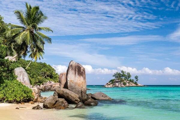 A serene beach in Seychelles with palm trees, clear sea, and a rocky islet under a bright sky | MSC Cruises